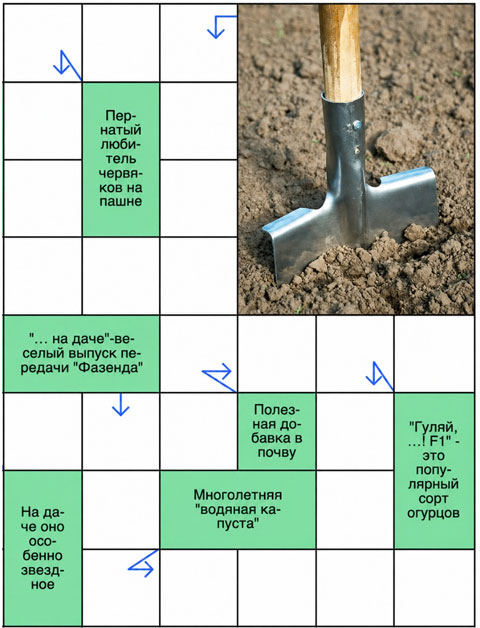 Разгадать сканворд на дачную тему