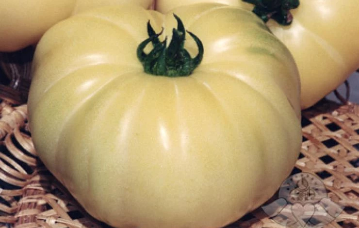 сорт лечебный