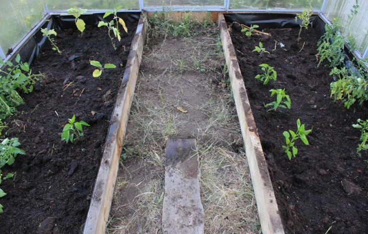 теплые грядки для улучшения почвы в теплице