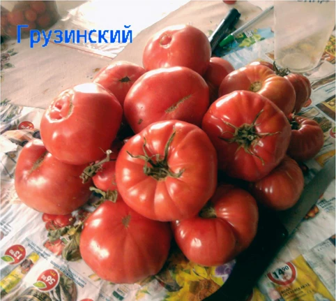 сорт томата грузинский