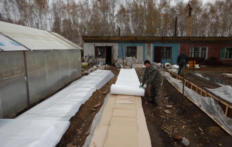 виноград алешенькин