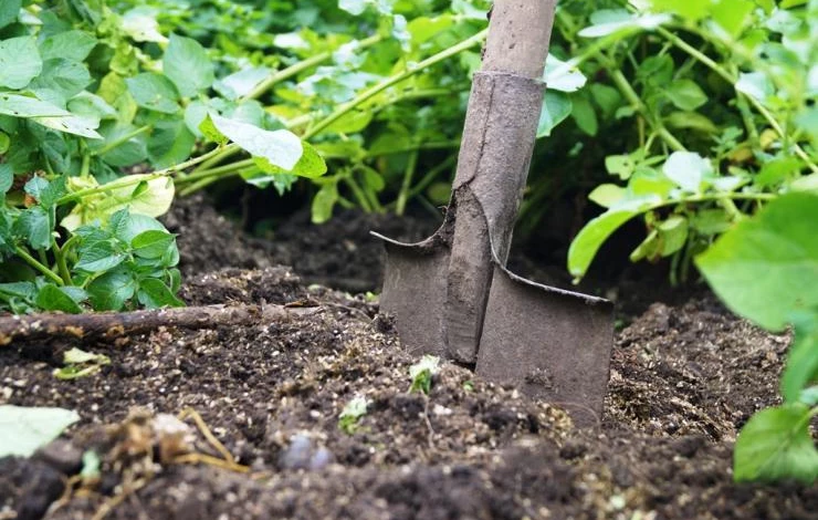 внесение органических удобрений