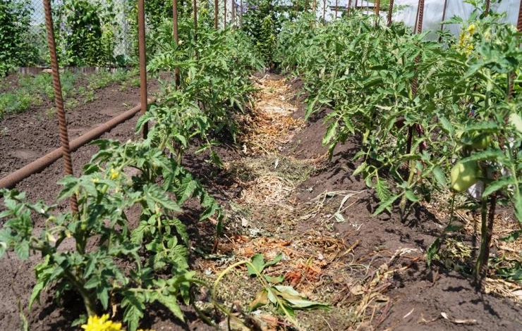 способы внесения органических удобрений