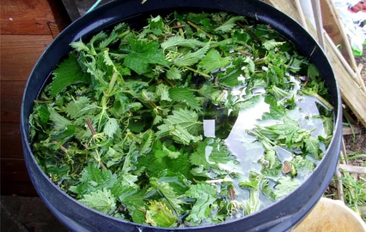 удобрение из крапивы видео