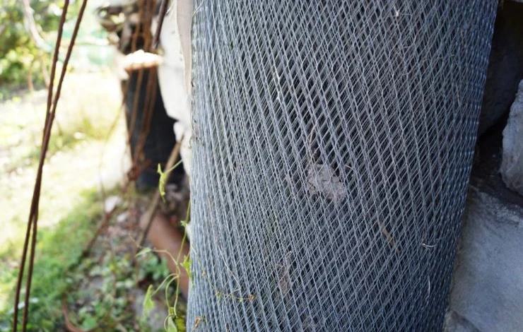 подготовка груши к зиме