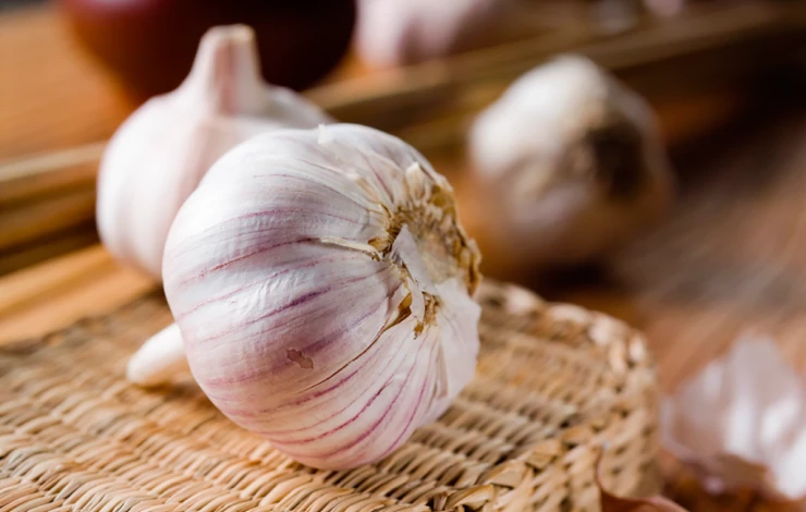 хранение чеснока зимой
