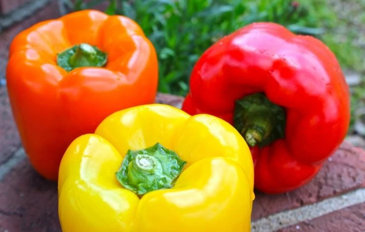 лучшие сорта для грунта