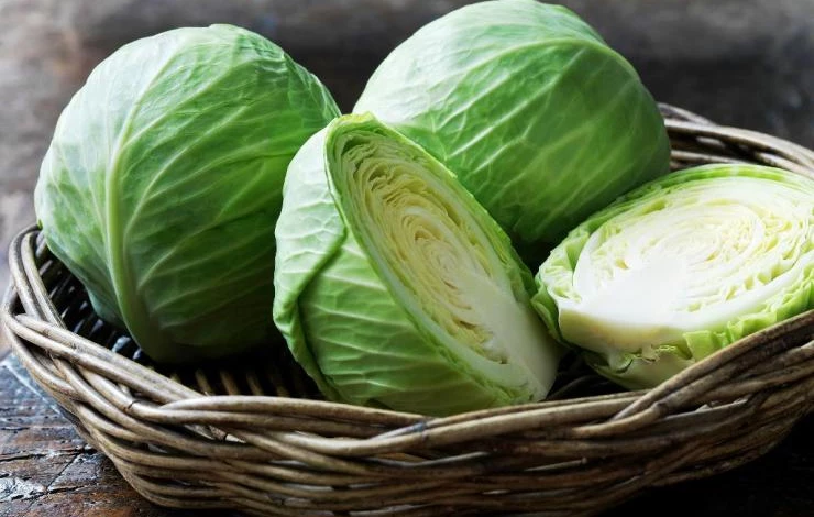 как солить капусту в домашних условиях