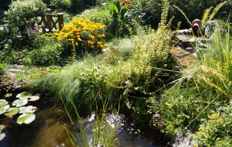 альпийская горка с водоемом