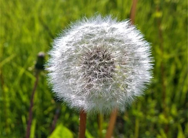 почему не нужна перекопка