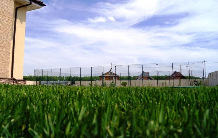 польза газона на даче