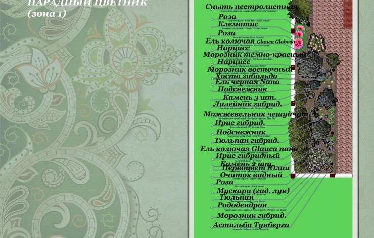 схема парадного цветника