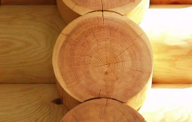 Лунный профиль