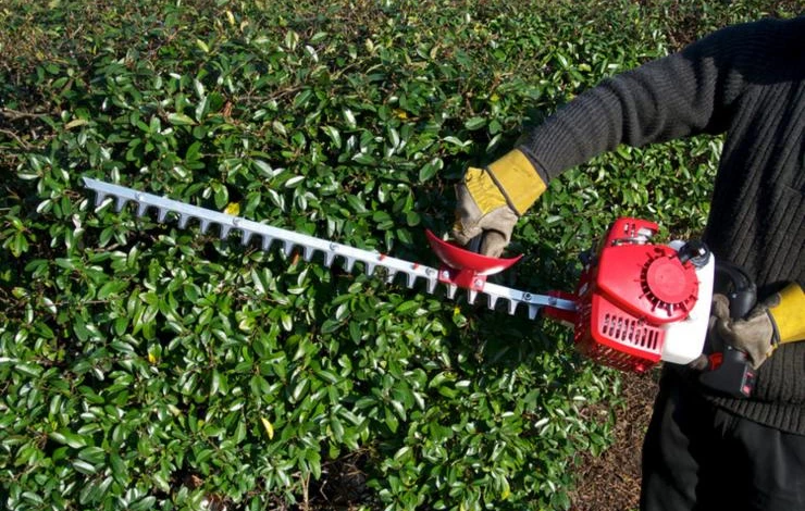ножницы для стрижки живой изгороди