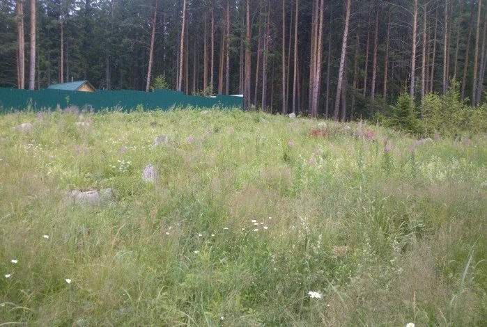 фото участок на склоне