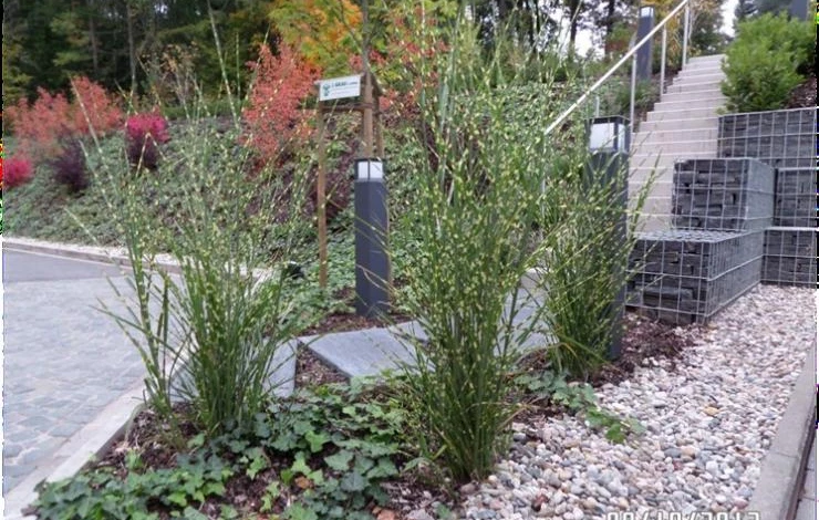 участок на склоне с габионами