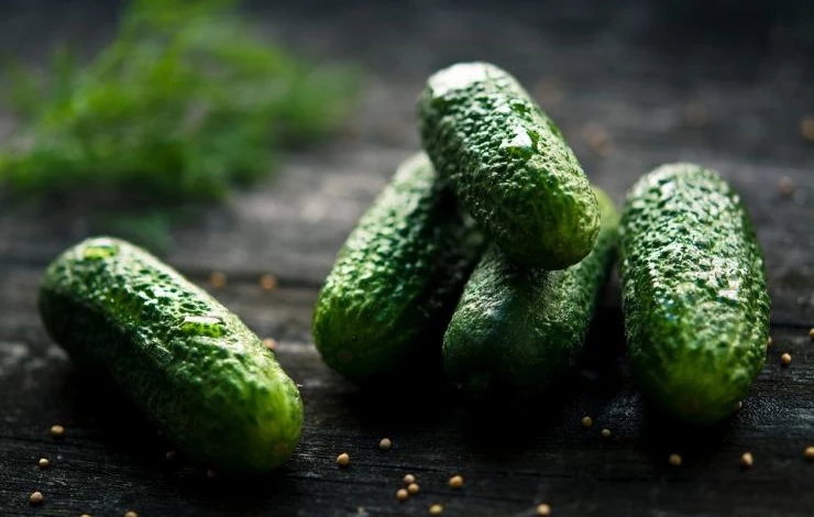 сорта огурцов универсальные