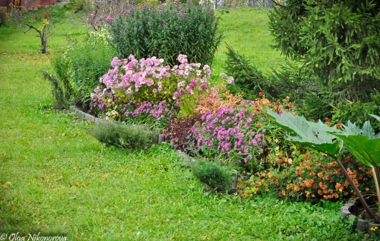 осенние композиции