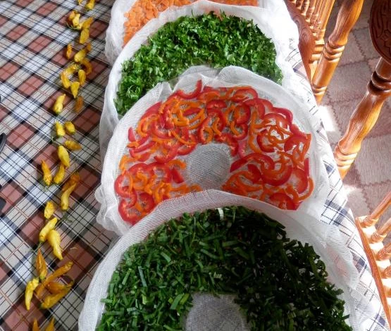 сушеные овощи в домашних условиях