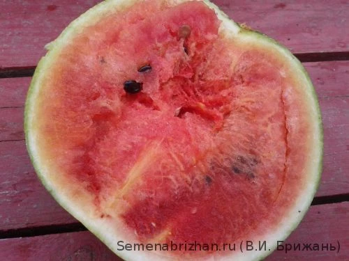 Tender Sweet Bi-Colour арбуз