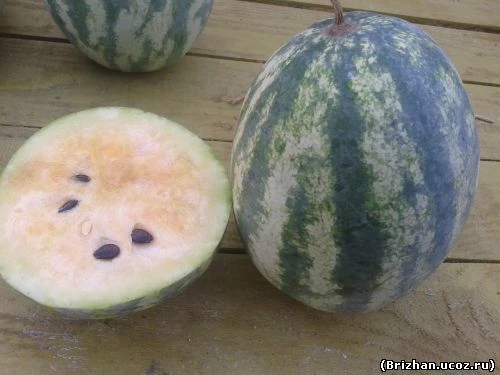 Tender Sweet Orange арбуз