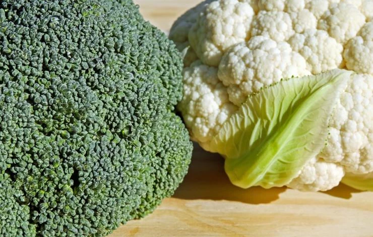 чем отличается брокколи от цветной капусты