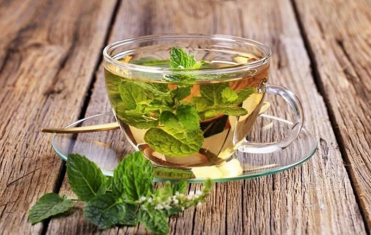 мелисса для сна