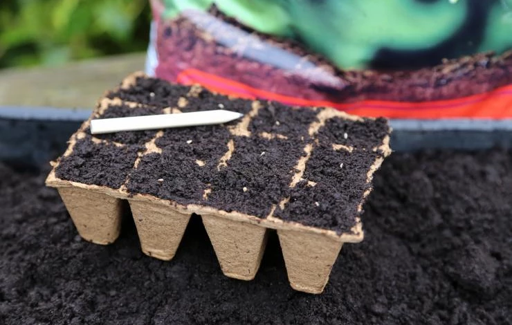 как обеззаразить семена споробактерином