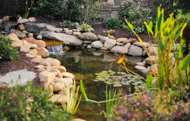опыт обустройство пруда на даче