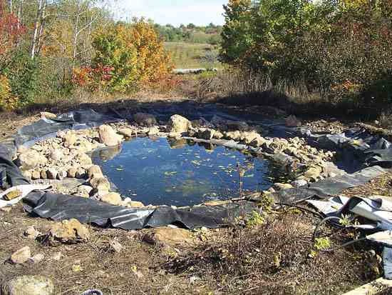пруд из пленки своими руками