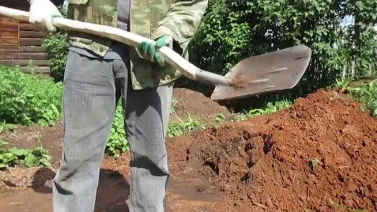 лопата совковая