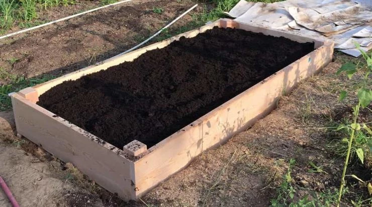 чернозем купить