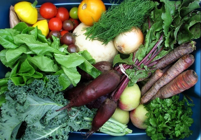 сорта для раннего урожая