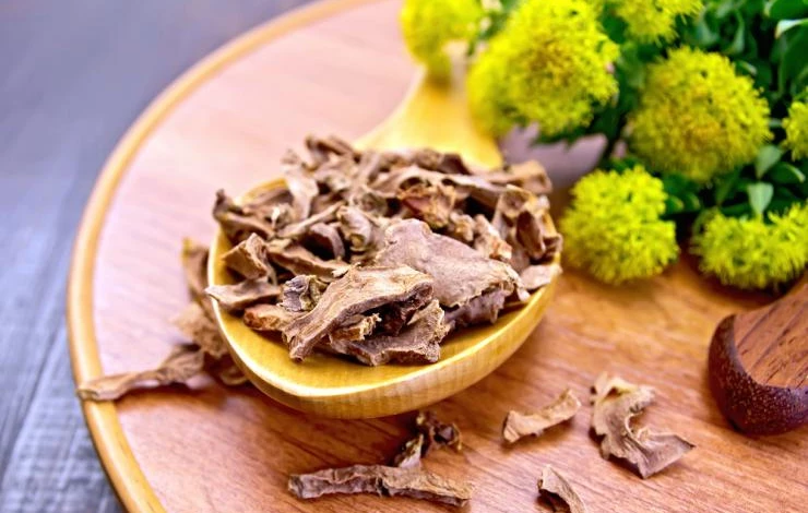 родиола розовая рецепты