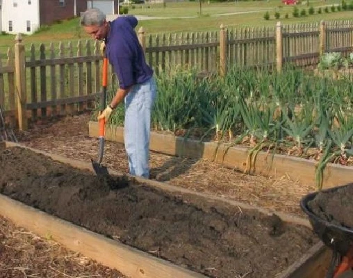 огороженные грядки под томаты