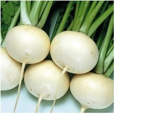 дайкон саша