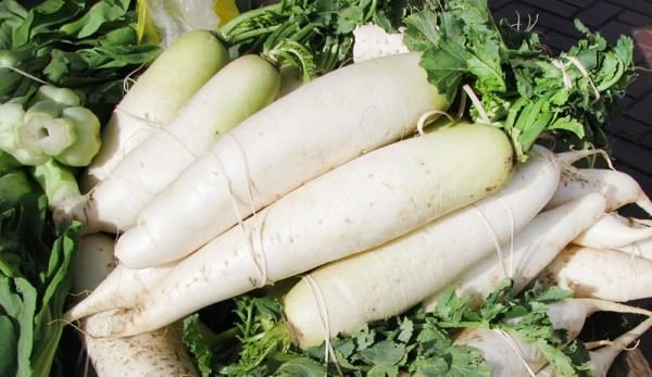 дайкон что за овощ