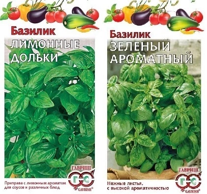 сорт базилика с ароматом лимона