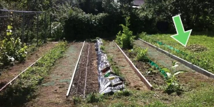 теплые грядки своими руками пошагово