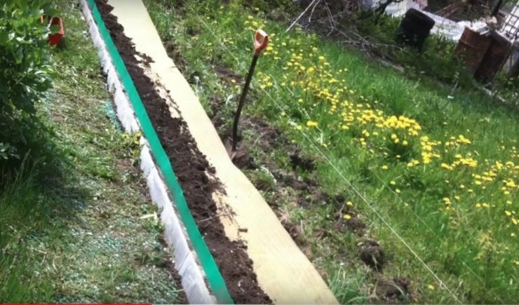 грядки розума