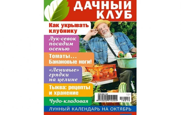 дачный клуб журнал