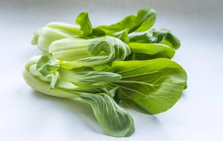 китайская капуста пак чой виды сорта