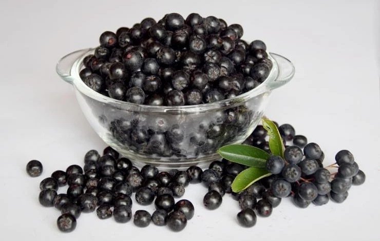 польза черноплодной рябины аронии