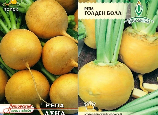какие сорта репы