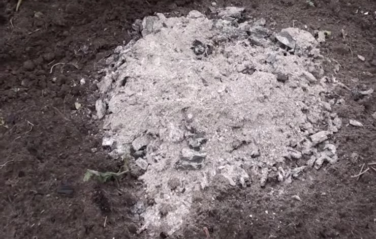 На месте подзимнего посева следует разжечь костер для прогрева почвы