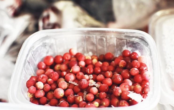 как заготовить бруснику