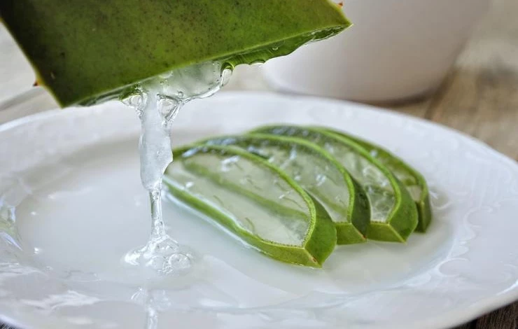 как применять сок алоэ в домашних условиях