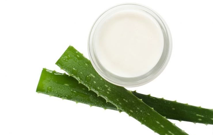 как приготовить сок алоэ в домашних условиях