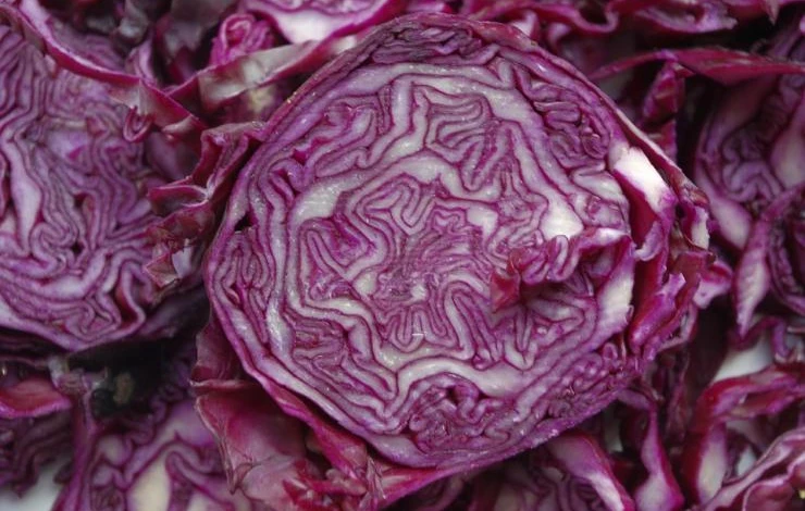 полезный состав краснокочанной капусты