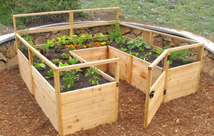 грядка своими руками